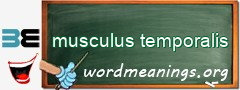 WordMeaning blackboard for musculus temporalis